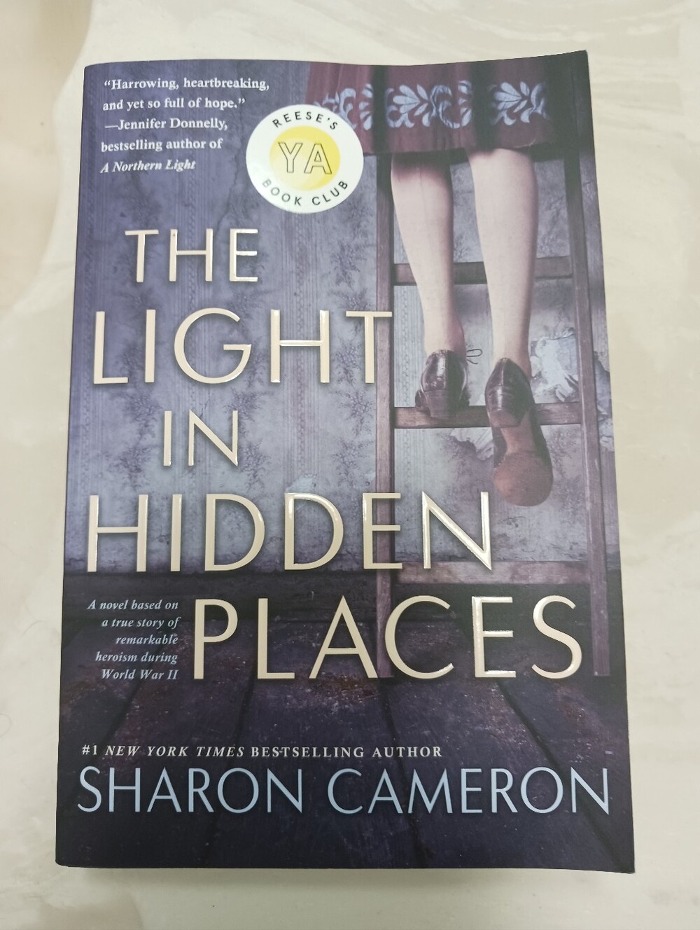 The Light in Hidden Places by Sharon Cameron